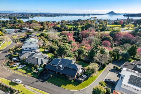 Photo of property in 3 Curlew Close, Maungatapu, Tauranga, 3112