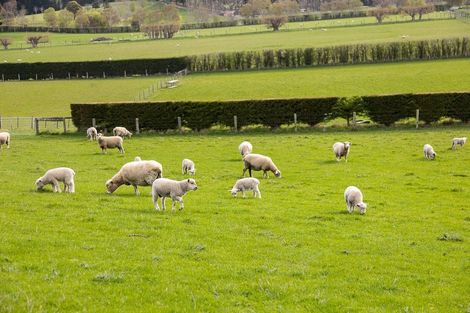 Photo of property in 309 Gladstone Road North, Mosgiel, 9092