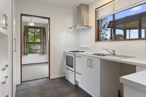 Photo of property in 46 Coopers Road, Dallington, Christchurch, 8061