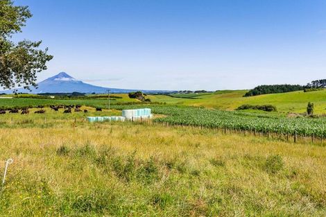 Photo of property in 150 Wirihana Road, Hawera, 4674