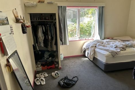 Photo of property in 59 Hankey Street, Mount Cook, Wellington, 6011
