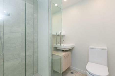 Photo of property in Vsp South, 502/168 Victoria Street, Te Aro, Wellington, 6011