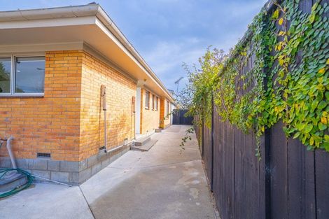 Photo of property in 58b Nixon Street, Hamilton East, Hamilton, 3216