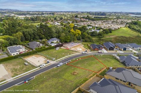 Photo of property in 53 Hass Drive, Ohauiti, Tauranga, 3112