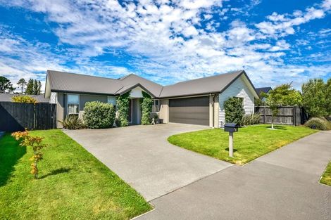 Photo of property in 50 Te Rito Street, Marshland, Christchurch, 8083