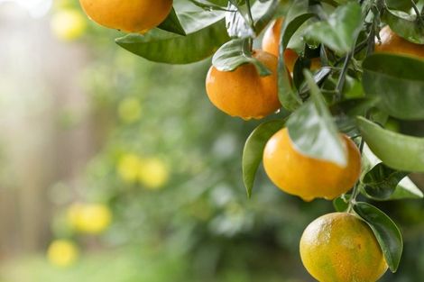 Photo of property in 120b Gloucester Road, Mount Maunganui, 3116