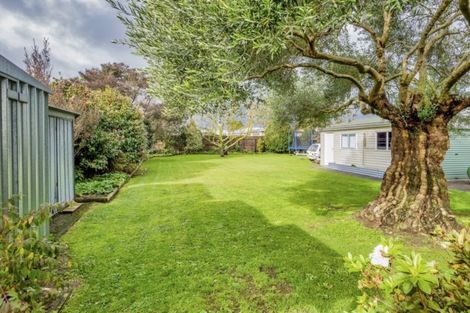 Photo of property in 92a Weraroa Road, Levin, 5510