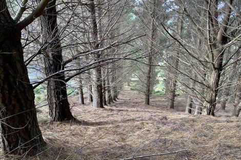 Photo of property in Long Gully Farm, 391 Southernthread Road, Brooklyn, Wellington, 6021