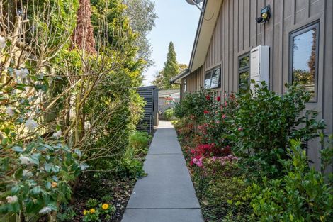 Photo of property in 7 Haines Grove, Rainbow Point, Taupo, 3330