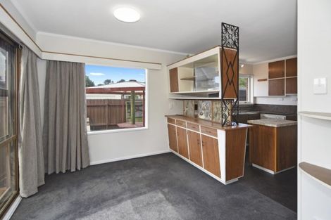 Photo of property in 31 Donny Avenue, Chartwell, Hamilton, 3210