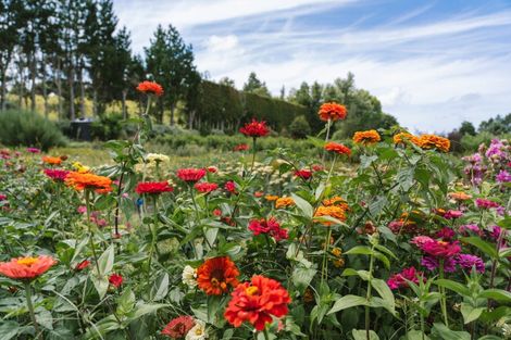 Photo of property in 259 Wainui Road South, Whakamarama, Katikati, 3181