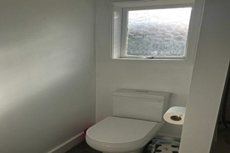 Photo of property in 52 Nikau Road, Otahuhu, Auckland, 1062