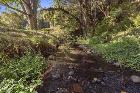 Photo of property in 76 Elgood Road, Glen Massey, Ngaruawahia, 3793