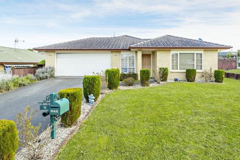 Photo of property in 12 Ironstone Place, Randwick Park, Auckland, 2105