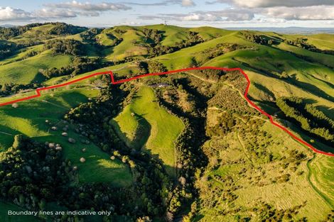 Photo of property in 88 Tirohanga Road, Rotoorangi, Cambridge, 3495