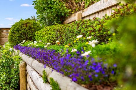 Photo of property in 5 Burwah Street, Berhampore, Wellington, 6023