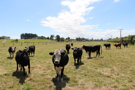 Photo of property in 587 Pleasant Point Highway, Levels, Timaru, 7975