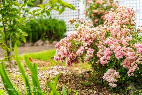 Photo of property in 1870 State Highway 1, Kaiwaka, 0573