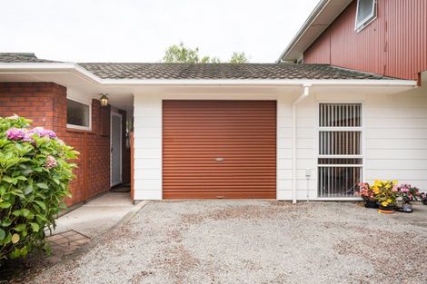 Photo of property in 45 Dittmer Drive, Awapuni, Palmerston North, 4412