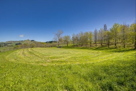 Photo of property in 155 Matangi Road, Tuki Tuki, Havelock North, 4294