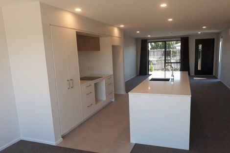 Photo of property in 146 Metehau Street, Marshland, Christchurch, 8083