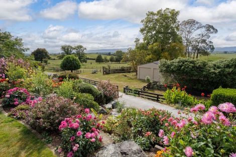 Photo of property in 178b Pond Road, Matamata, 3472