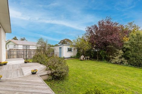 Photo of property in 102 Colombo Road, Masterton, 5810