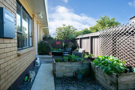 Photo of property in 8 Conrad Place, Leamington, Cambridge, 3432