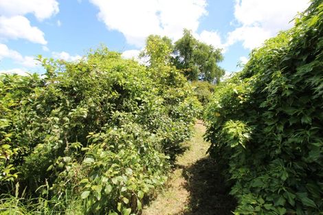 Photo of property in 79 Thompsons Road, Pahiatua, 4982