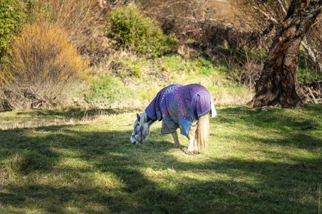 Photo of property in 10 Station Road, Mauriceville, Masterton, 5882