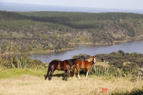 Photo of property in 541 Wilson Road, South Head, Helensville, 0874