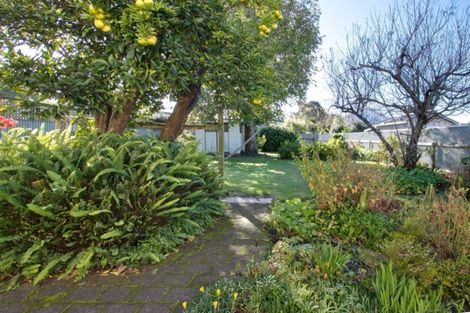 Photo of property in 7 Mcdonald Street, Napier South, Napier, 4110