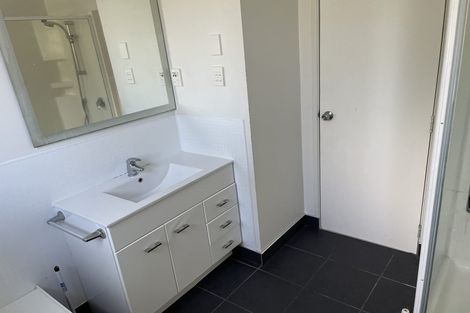 Photo of property in 17 Blacklock Avenue, Henderson, Auckland, 0612