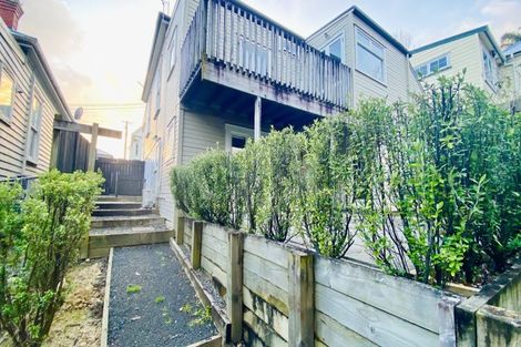 Photo of property in 26 Buchanan Street, Kingsland, Auckland, 1021