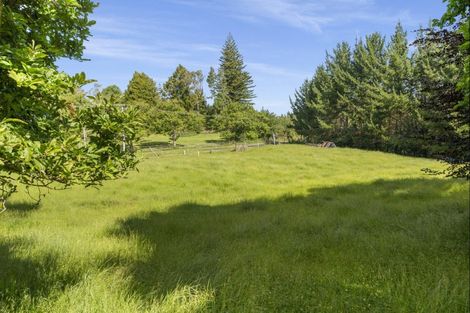 Photo of property in 284 Crawford Road, Minden, Tauranga, 3171