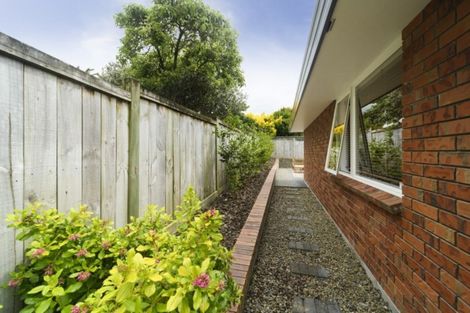 Photo of property in 38a Manawatu Street, Hokowhitu, Palmerston North, 4410