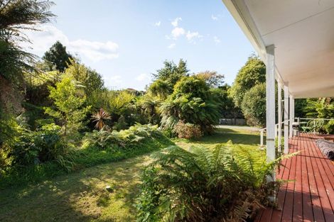 Photo of property in 17 Princes Street, Waikino, Waihi, 3682