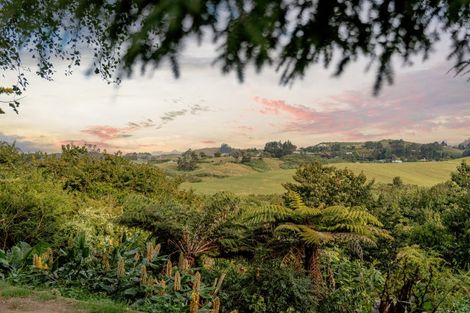 Photo of property in 24a Kaimai Place, Hairini, Tauranga, 3112