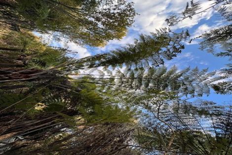 Photo of property in 211 Krippner Road, Puhoi, Warkworth, 0994