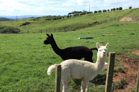 Photo of property in 641 Te Hutewai Road, Raglan, 3296