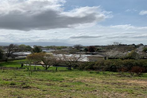 Photo of property in 8 Goodwin Street, Waihola, Milton, 9073