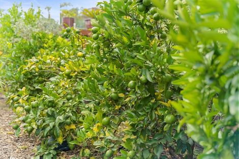 Photo of property in 381 Welcome Bay Road, Welcome Bay, Tauranga, 3112