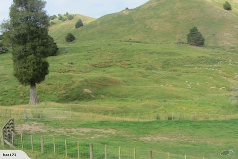 Photo of property in 54 Williamson Road, Manunui, Taumarunui, 3994