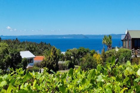 Photo of property in 482 Whareroa Road, Kuratau, Turangi, 3381