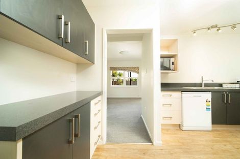 Photo of property in 24 Mckenzie Street, Witherlea, Blenheim, 7201