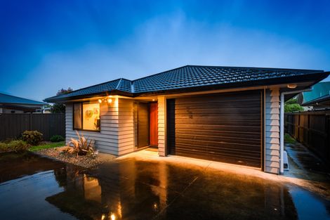 Photo of property in 26c Ward Street, Palmerston North, 4410