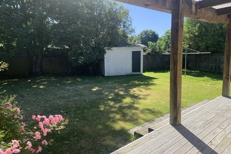 Photo of property in 38 Hollyford Avenue, Bryndwr, Christchurch, 8053