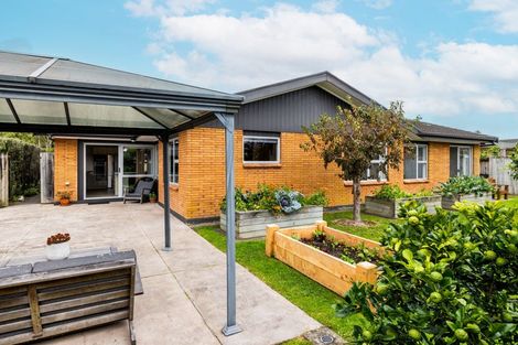 Photo of property in 8 Malcolm Street, Riverlea, Hamilton, 3216