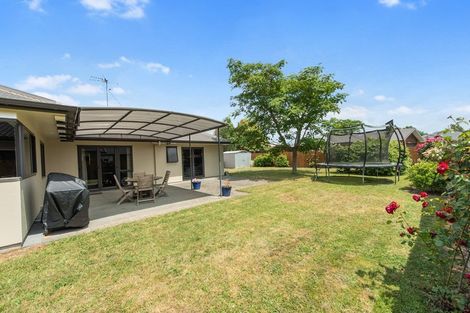Photo of property in 41 Tuirangi Street, Flagstaff, Hamilton, 3210