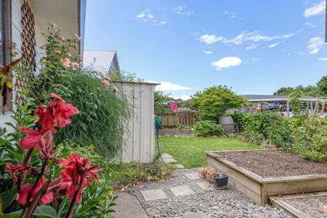Photo of property in 60d Mclauchlan Street, Springlands, Blenheim, 7201